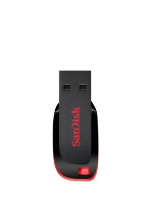 SanDisk USB  128gb